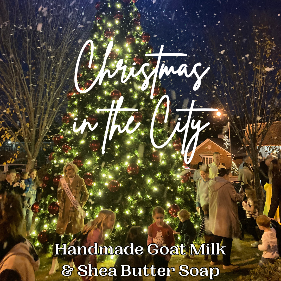 **PRE-ORDER ONLY** Christmas in the City Goat Milk & Shea Butter Soap